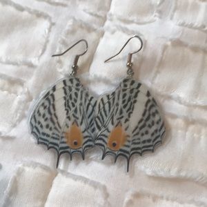 Real Butterfly Earrings